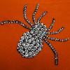 Aleenes Make Your Own Repositionable Rhinestone Applique