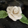 Bread Dough Rose