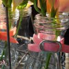 Velvet Ribbon Wraps