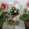 Mini Topiary Tree
