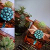 Recycled Indoor Terrarium