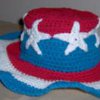 4th of July Hat