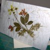 Pressed Flower Card