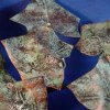 Burnt Brown Bag Ivy