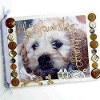 Beaded Dog Album