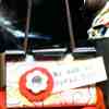 Binder Photo Clip