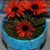 Blue Flower Pot