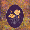 California Poppy Quilt