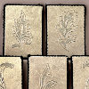Champagne Canvases Wall Art