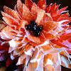 Charming Hair Flower