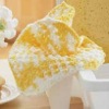 Cheerful Dish Cloth
