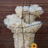 Chicken Wire Basket