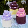 Clay Cupcake Boxes