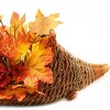 Thanksgiving Cornucopia