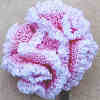 Crochet Carnation Pin