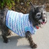Crochet Dog Sweater