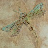Dragonfly on Mache Box