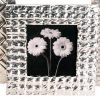 Embossed Metal Frames