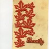 Fall Family Card