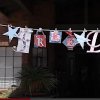Freedom Banner