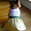 Fun Doggy Bib Dress