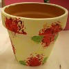Geranium Painted Garden Pot