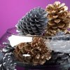 Glittering Holiday Pinecones