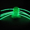 Glowing Spider