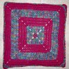 Granny Gees Crocheted Pillow Cover