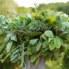 Hamster Wheel Wreath