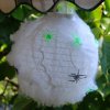 Hanging Spider Nest
