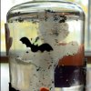 Haunted Glass Globe
