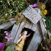 Wooden Birdhouse Cottage