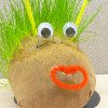 How to Create Your Very Own Chia Pet