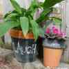 Painted Garden Pots