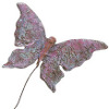 Burnt Bag Butterfly