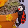 Clay Ladybug