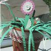 Ladybug Plant