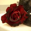 Make Dead Roses