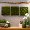 Moss Art Wall Decor