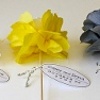 Napkin Wedding Flower Favors