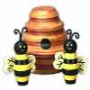 Outdoor Bees and Hive