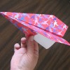 Paper Airplane Pink