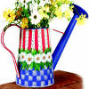 Patriotic Watering Can
