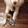 Paw Print Ornaments