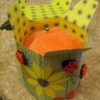 Surprise Pin Cushion