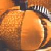 Pretty Plump Pumpkins