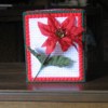 Poinsettia and Stars Tissue Box Cover