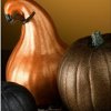 Prized Pumpkins