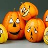 Pumpkin Pals